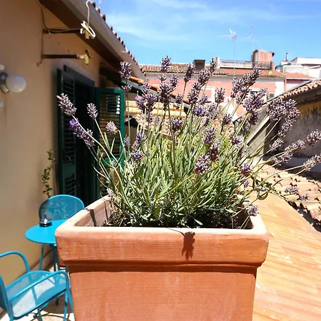 Casa Catelli Daire